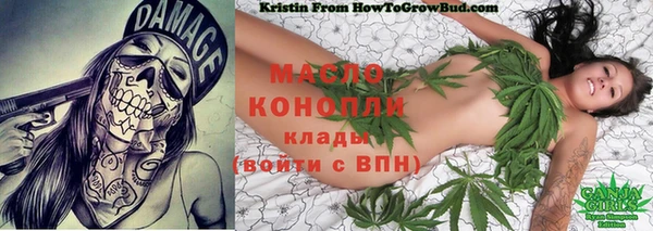 дживик Михайлов