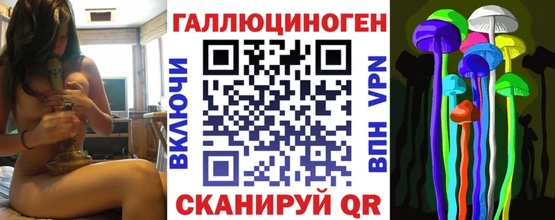 Псилоцибиновые грибы Psilocybe  где можно купить наркотик  Новотитаровская 